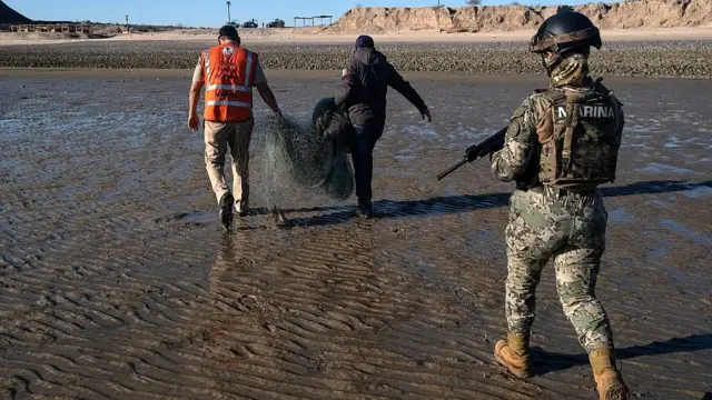 Integrantes de la Secretaría de Marina y otros funcionarios cargan una red de enmalle confiscada