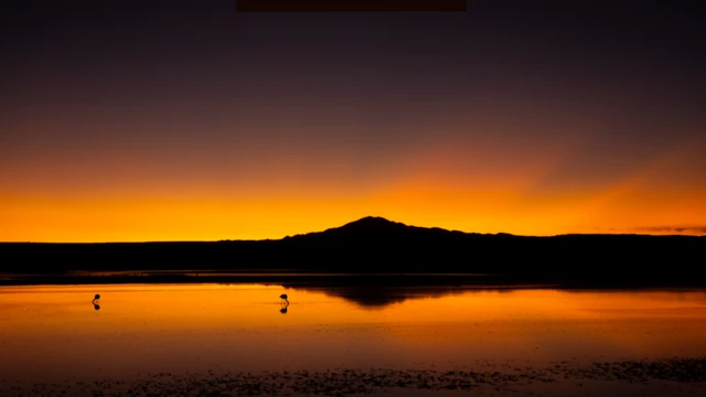 Un atardecer con dos aves en la distancia.