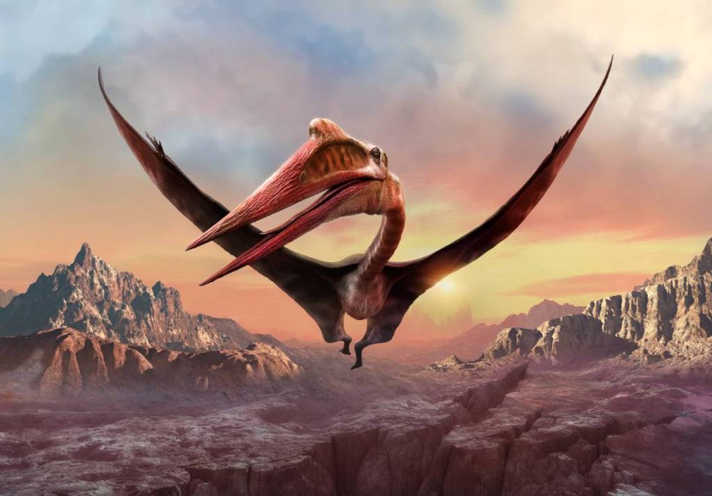 Quetzalcoatlus, una especie del grupo de pterosaurios, los reptiles voladores que más se suelen tomar por dinosaurios