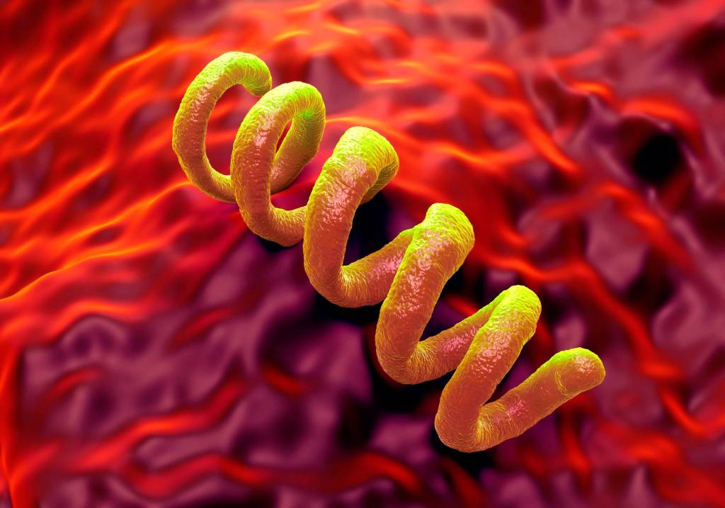 Imagen generada por ordenador de la bacteria Treponema pallidum, causante de la sífilis, mostrando su estructura en forma de espiral