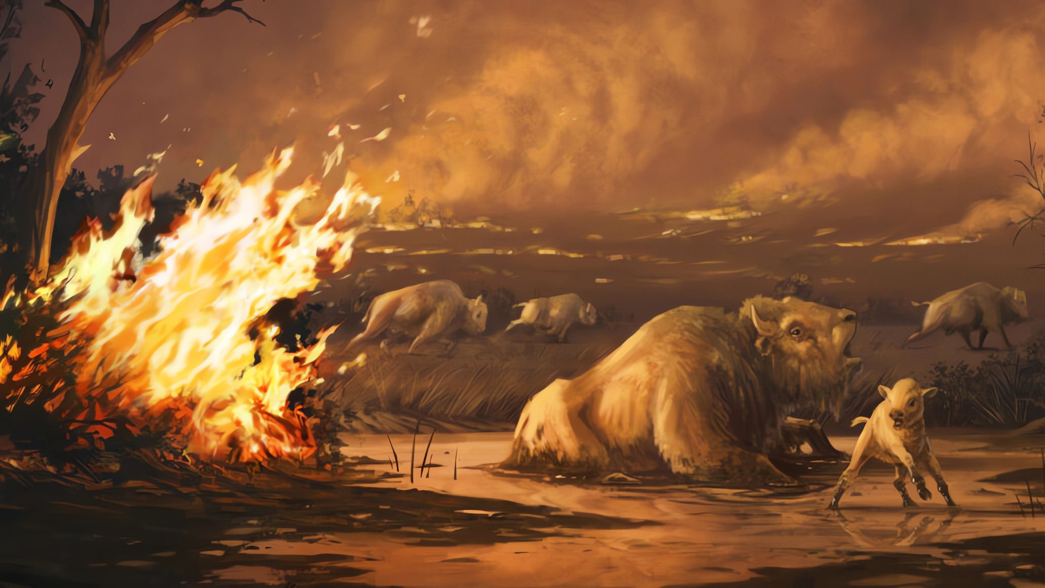 Los humanos y el uso del fuego cambiaron todo un ecosistema hace 13.000 años