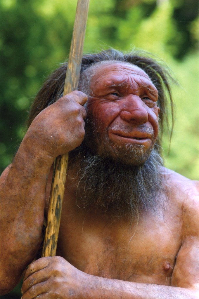 Gracias a la reconstrucción, ahora sabemos que los neandertales tenían un físico preparado para cualquier tipo de clima