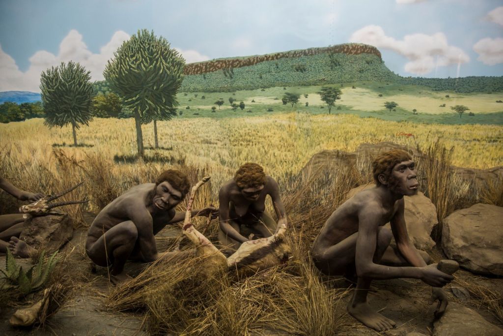 Recreación de ‘Homo habilis’