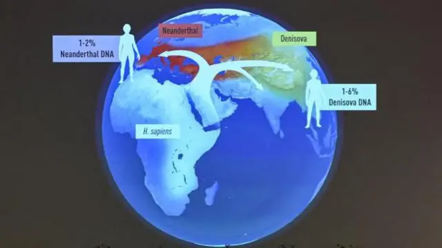 Gráfico donde se ve el porcentaje de ADN neandertal y denisovano que tiene la población actual del planeta.