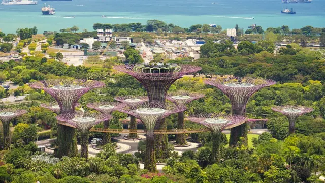 Vegetación en Singapur rodea los 