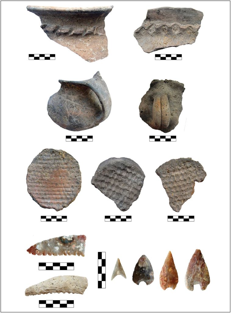 Fragmentos de cerámica