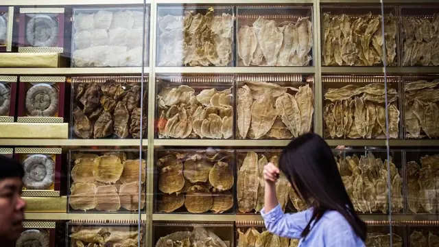 Una mujer pasa frente a un local de venta en Hong Kong donde se exhiben buches de totoaba