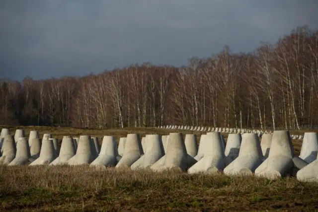 Una larga y densa fila de estructuras piramidales de concreto en un campo despejado bordea un bosque