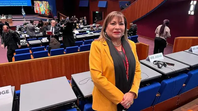 Jueza Luz del Carmen Ibáñez Carranza