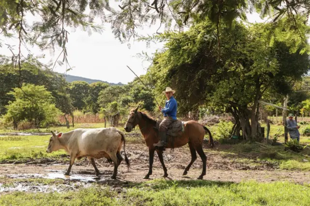 Campesino en Nicaragua