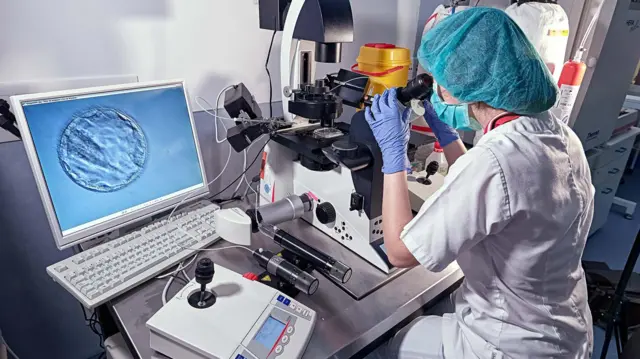 Una embrióloga mira a través de un microscopio y añade esperma a un óvulo en el laboratorio de una clínica de reproducción asistida.