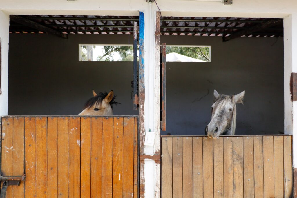 Refugio para animales silvestres en CDMX