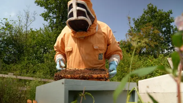 Un hombre con un traje naranja de apicultor sostiene un marco de madera con abejas reptando sobre él. Está de pie en un campo con árboles y plantas