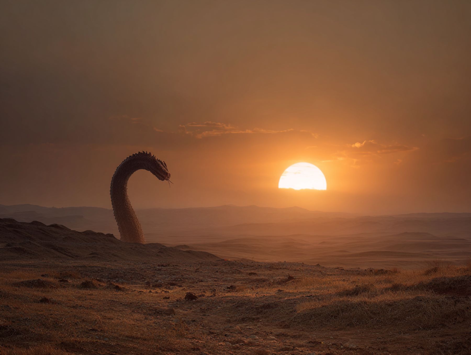 Nacimiento del sol y serpiente