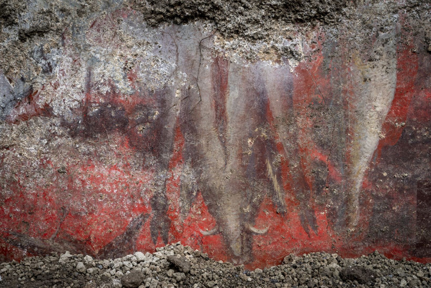 Representación parietal de un buey en un fresco de Pompeya, Regio IX