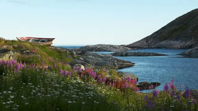 Un paisaje bucólico de Labrador