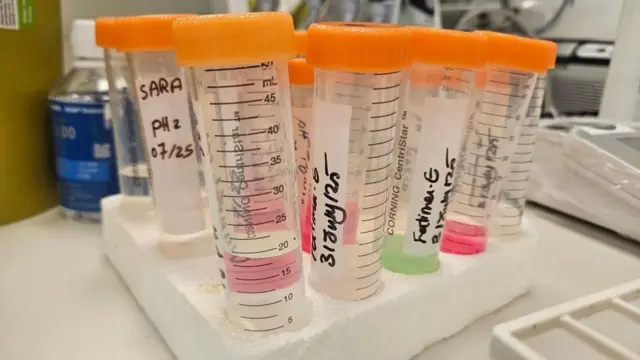 Tubos de ensayo de color naranja con etiquetas, medidas y diversos líquidos transparentes, rosa y verde.
