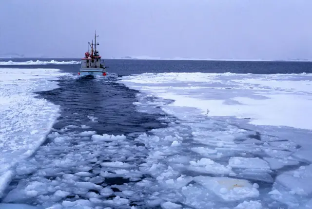 Un barco navega en el Ártico