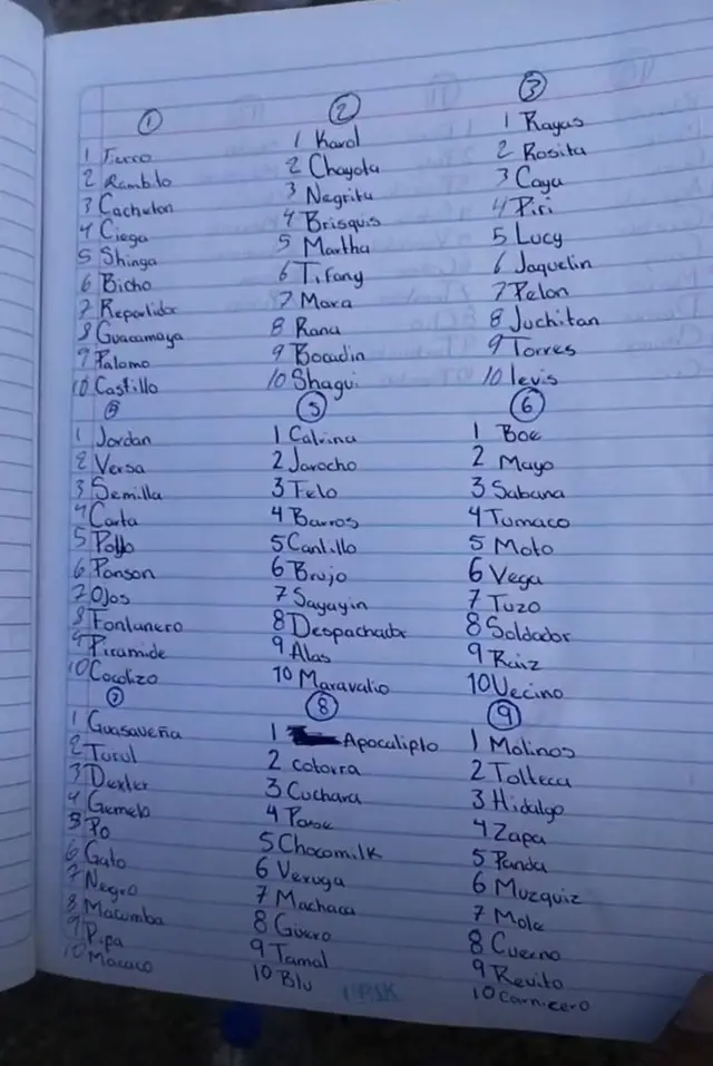 Una lista encontrada en el 