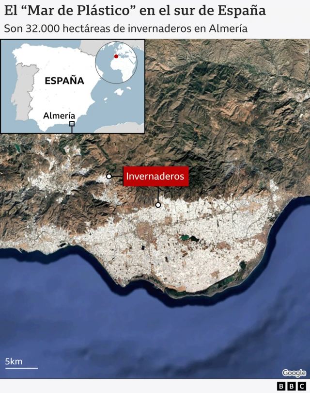 Mar de Plástico.