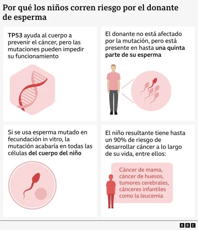 Infografía que explica cómo una mutación del gen TP53 en el esperma del donante puede provocar riesgo de cáncer en los niños concebidos mediante fecundación in vitro. El panel superior izquierdo muestra una cadena de ADN con el texto: