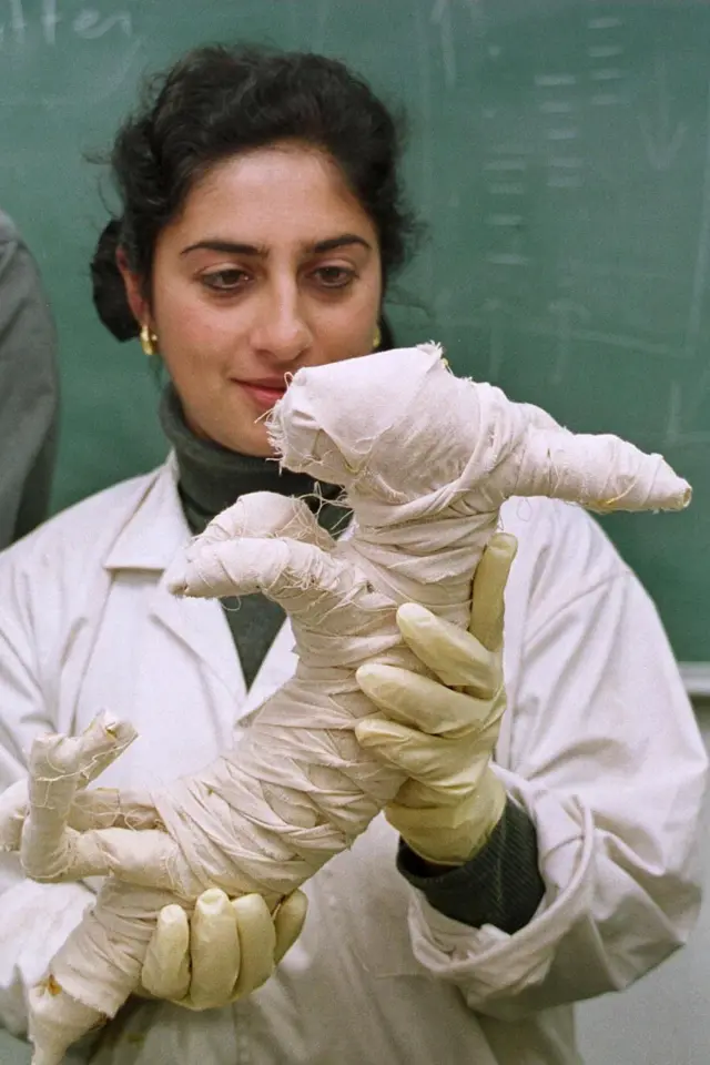La profesora Salima Ikram, de la Universidad de El Cairo, vestida con una bata de laboratorio blanca y guantes, sobre un jersey de cuello alto verde y pendientes de oro, sostiene un conejo momificado, con una pizarra al fondo.