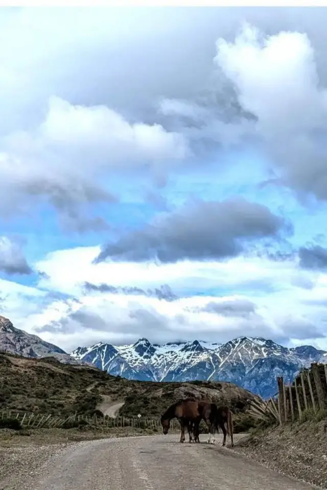 Es más probable que los conductores se encuentren con gauchos a caballo que con otros viajeros (Crédito: Egle Gerulaityte)