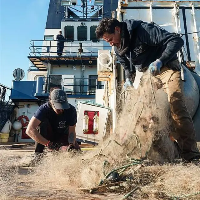 Miembros de Sea Shepherd retiran redes de enmalle