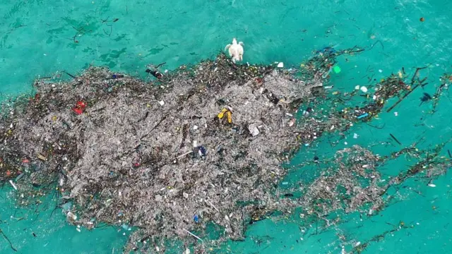 Una tortuga muerte en medio de basura plástica en Tailandia.