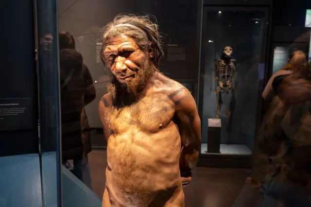 Recreación de un neandertal en la exposición sobre la evolución humana del Museo de Historia Natural de Londres.