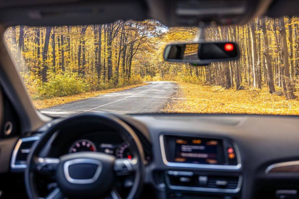 Algo está cambiando, el futuro no es solo eléctrico, los motores de combustión evolucionan y piden su lugar