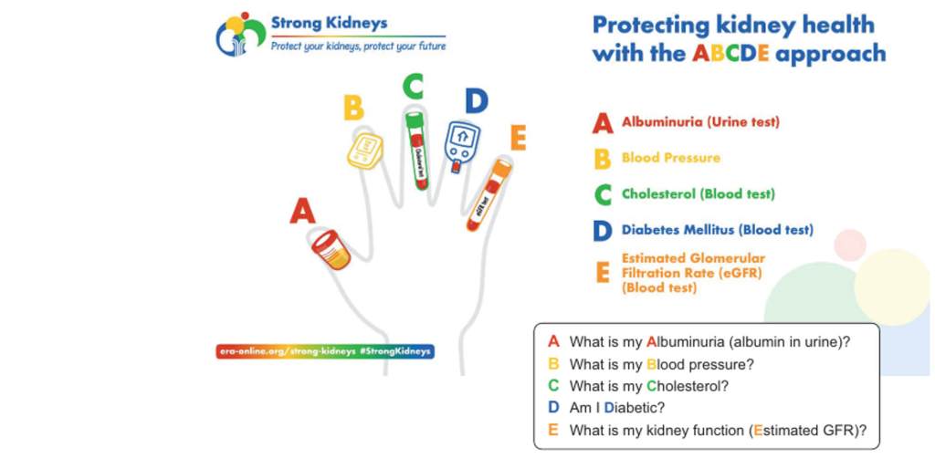 ABCDE de la salud renal: albuminuria, presión arterial, colesterol, diabetes y filtrado glomerular. Fuente: Ferro et al. The Lancet.