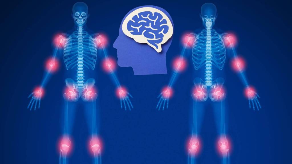 Sentir dolor fue el primer gran avance consciente de la evolución.