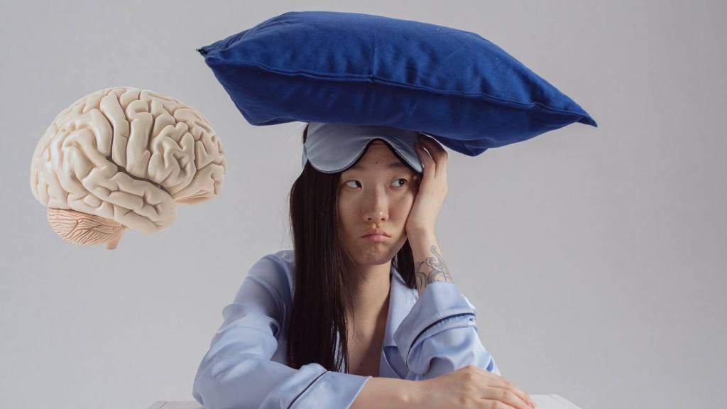 Comprender cómo el cerebro despierta por estrés abre nuevas vías para tratar trastornos del sueño.