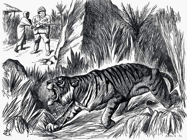 Cacería de tigres
