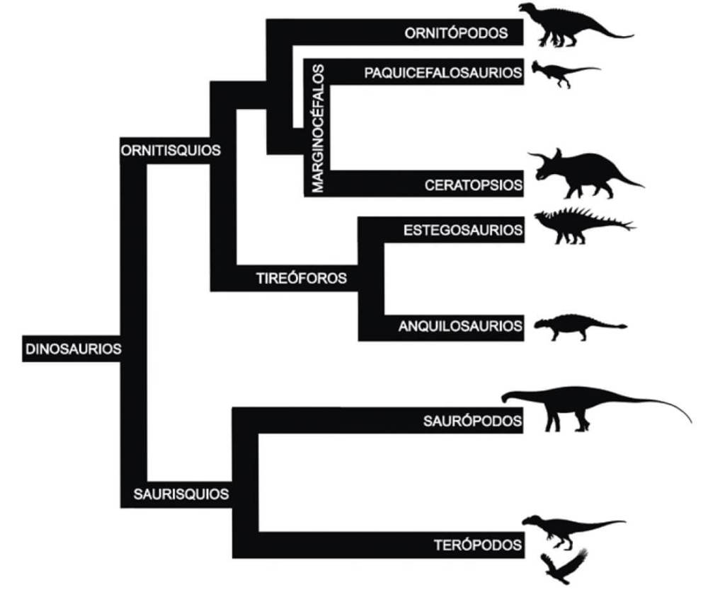 Diagrama de relaciones de parentesco evolutivo de Dinosauria