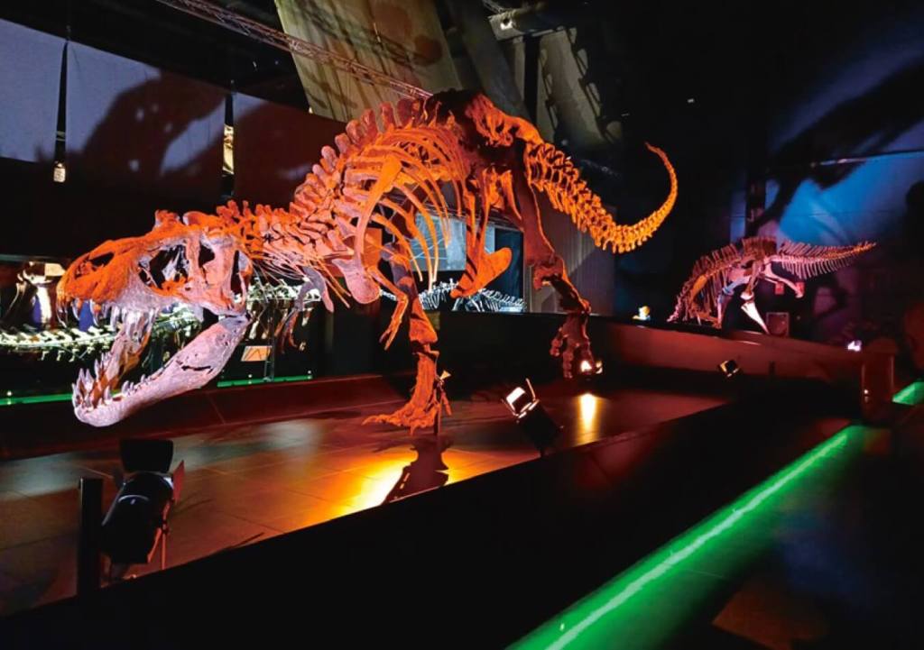 Réplica del esqueleto de Tyrannosaurus rex, uno de los últimos dinosaurios del Cretácico Superior que habitó en Norteamérica. Museo Aragonés de Paleontología en Dinópolis en Teruel (Aragón).