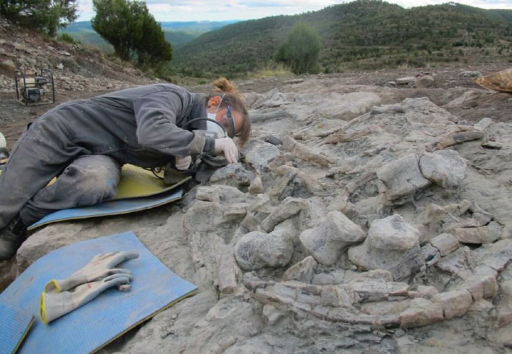 En la imagen de arriba, preparación paleontológica de huesos de dinosaurio in situ por medio de herramientas de precisión en el yacimiento San Cristóbal en El Castellar (Teruel).