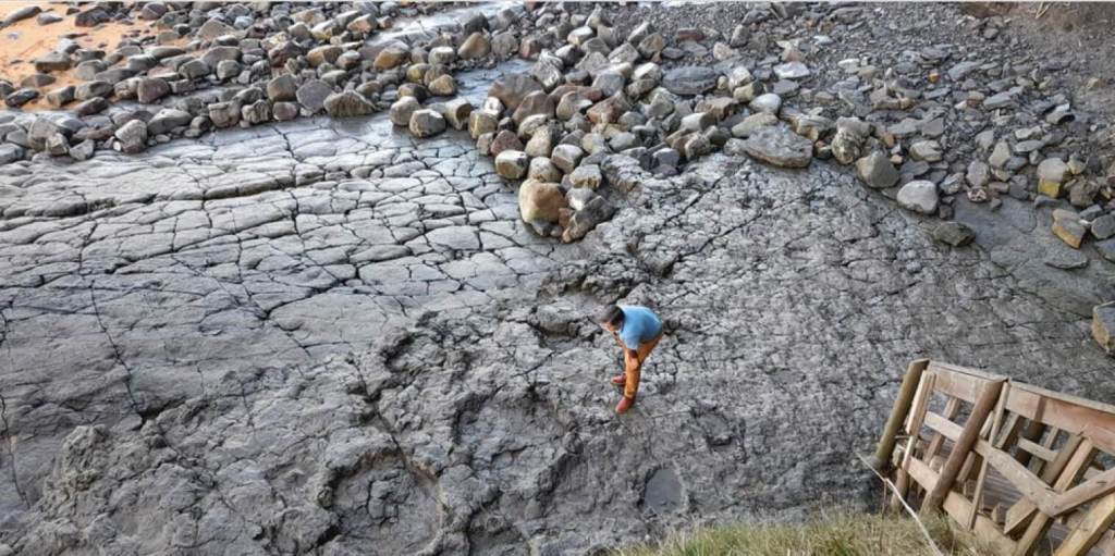 Huellas de dinosaurios saurópodos en el yacimiento asturiano de La Griega, en Colunga. Fuente: Rosalía Gutiérrez.