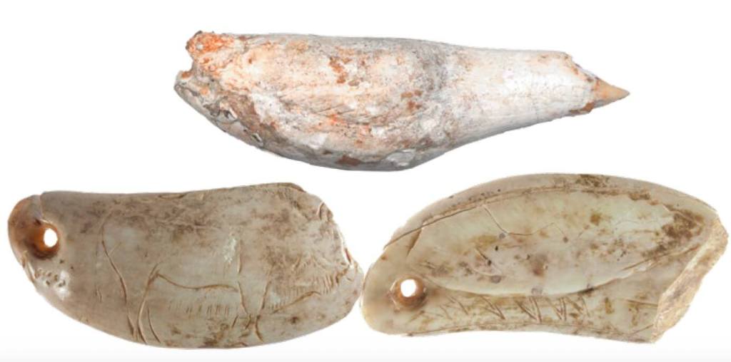 Diente de cachalote grabado procedente de la cueva asturiana de Las Caldas.