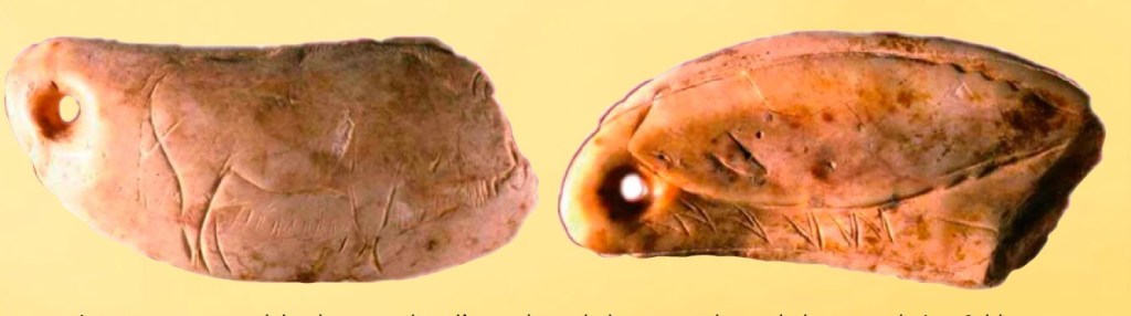 Anverso y reverso del colgante sobre diente de cachalote procedente de la cueva de Las Caldas. Fuente: Museo Arqueológico de Asturias.