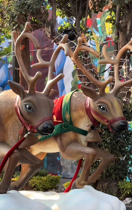 Vecinas, vecinos y visitantes acuden a la Casa del Grinch para tomarse fotos tanto de día como de noche, cuando la iluminación resalta aún más los detalles.