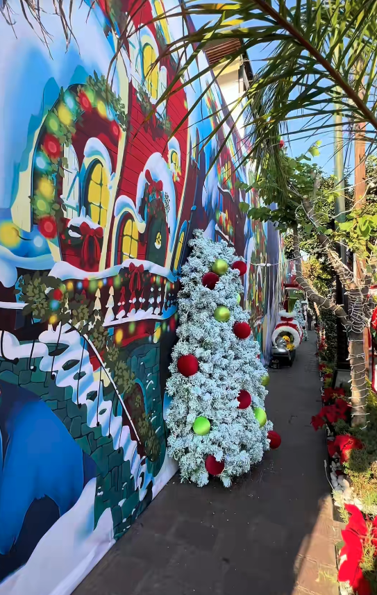 Además de las fotos, en fechas específicas se reparten aguinaldos en la Casa del Grinch, lo que ha atraído a más personas durante la temporada decembrina.