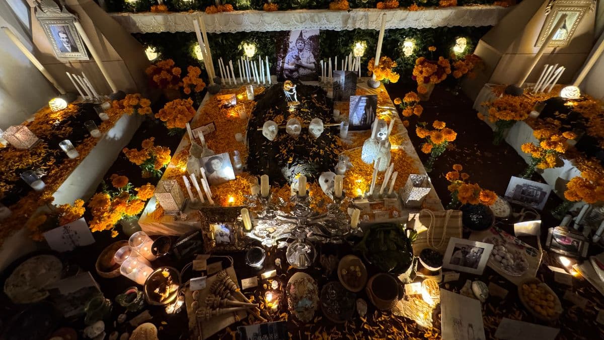 Ofrenda de Día de Muertos 2024 en el Anahuacalli: Homenaje a Diego Rivera