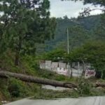 Crisis en la Frontera Sur: Desplazados por la Violencia en Chiapas Buscan Refugio en Guatemala