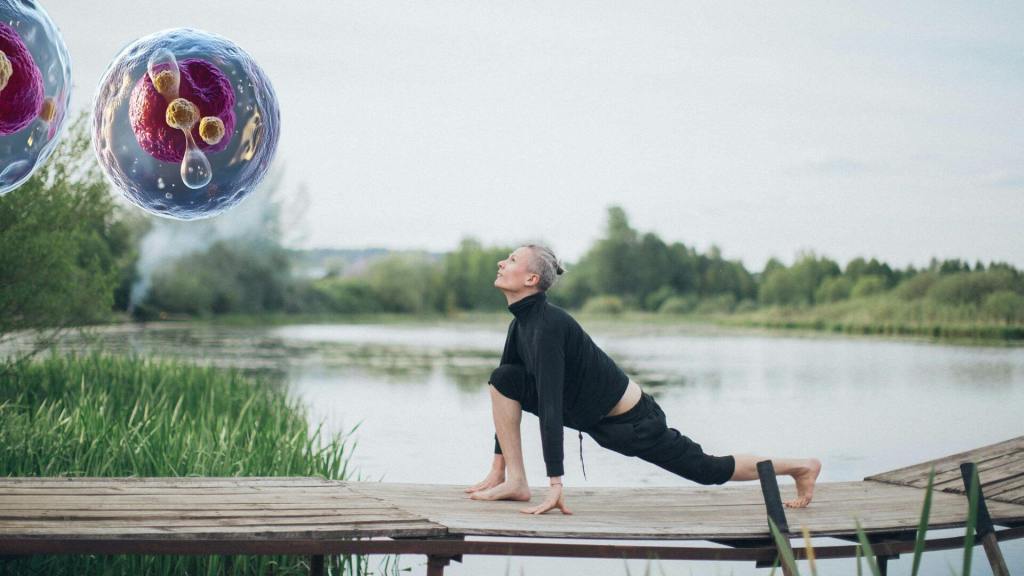 La investigación apunta a estrategias que mejoren la calidad de vida en la vejez.