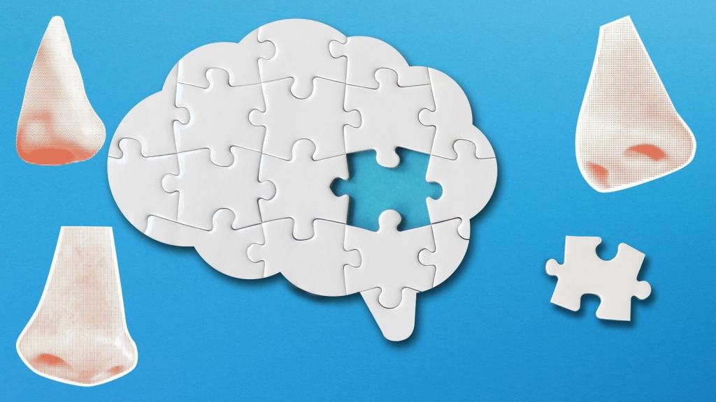 El olfato funciona en dos tiempos: información objetiva primero y respuesta subjetiva después.