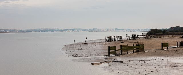 Parque Nacional de Doñana