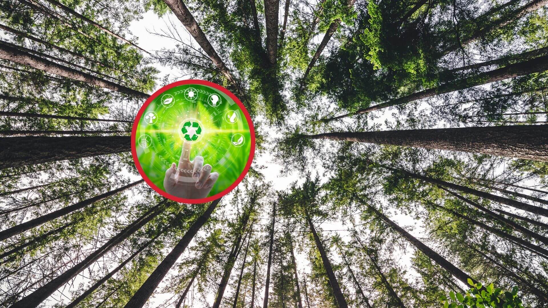 El impacto de la regulación europea de transparencia corporativa en la innovación medioambiental