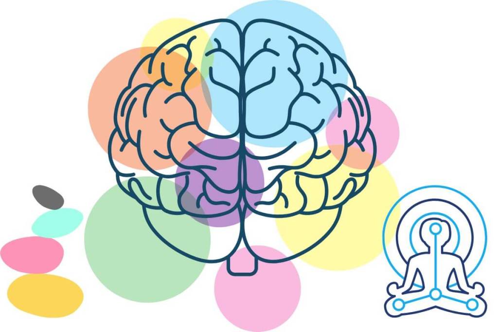 cerebro